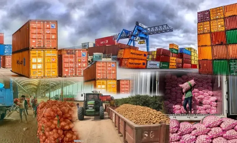 Food agro perishable cold chain logistics export India ABS Logistics